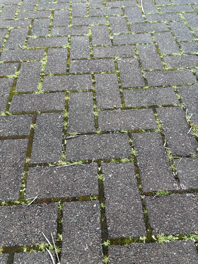 Pavé sale avant nettoyage
